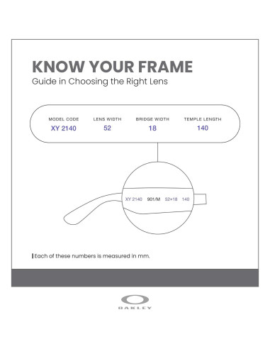 Lentes de Reemplazo Oakley Holbrook OO9102 Negro Iridium
