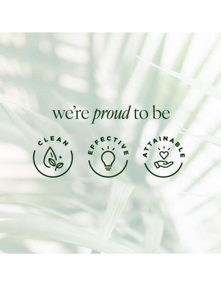 Conjunto de Cuidado Facial Tree of Life Vitamina C 5 Piezas