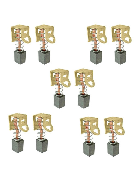 5 Pares Escobillas de Carbono Bosch 33618 2607034904 Reemplazo