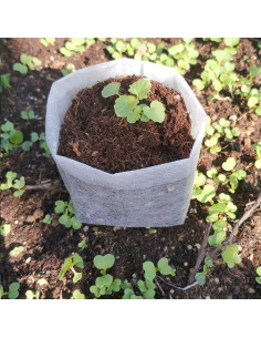 Bolsas de Cultivo Belit 100 Pcs 14.5x14.5 cm Tela No Tejida 2