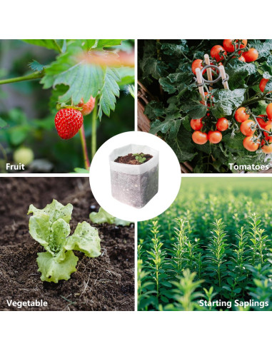 Bolsas de Cultivo Belit 100 Pcs 14.5x14.5 cm Tela No Tejida