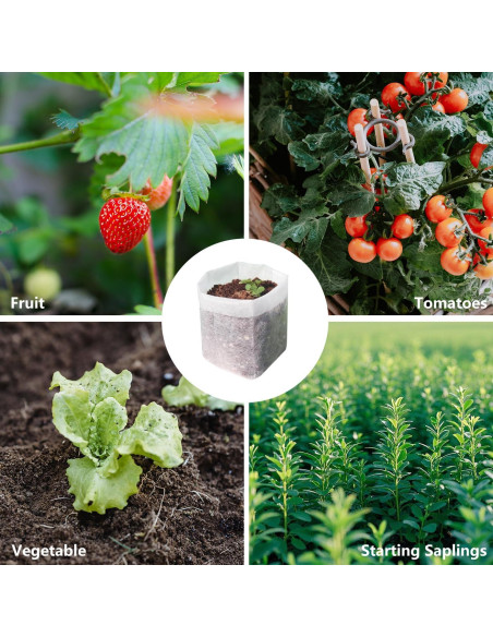 Bolsas de Cultivo Belit 100 Pcs 14.5x14.5 cm Tela No Tejida