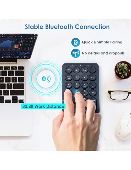 Ratón Ergonómico Inalámbrico SANWA ERG17 + Teclado Numérico Bluetooth