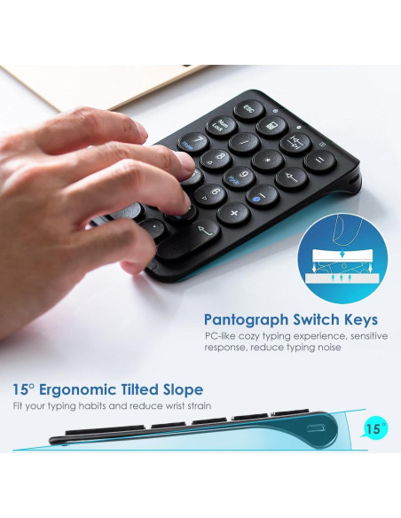 Ratón Ergonómico Inalámbrico SANWA ERG17 + Teclado Numérico Bluetooth