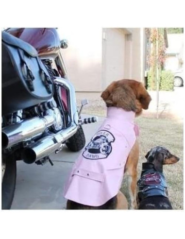 Chaleco de Moto para Perros Biker Dawg Doggie Design Rosa