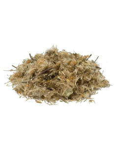 Flores de Árnica Secas 226.8g NY Spice Shop - 100% Natural