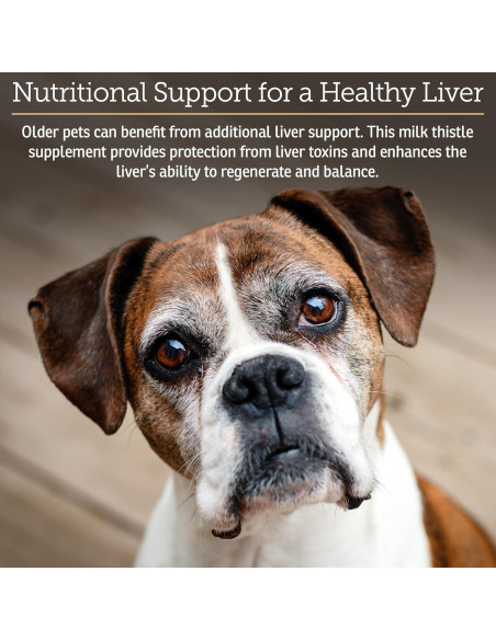 Suplemento Hepático Líquido Rx Vitamins 113.4ml Sabor Pollo