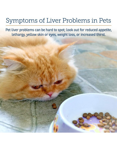 Suplemento Hepático Líquido Rx Vitamins 113.4ml Sabor Pollo