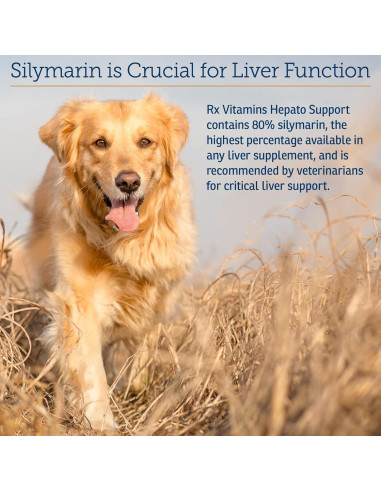 Suplemento Hepático Líquido Rx Vitamins 113.4ml Sabor Pollo