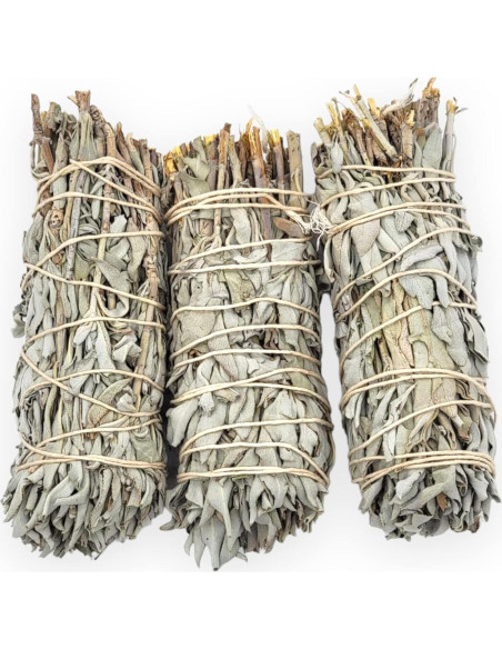 Yerbero - Kit de 3 Palos de Salvia Blanca 12.7 cm - Limpieza