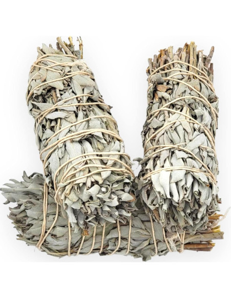 Yerbero - Kit de 3 Palos de Salvia Blanca 12.7 cm - Limpieza