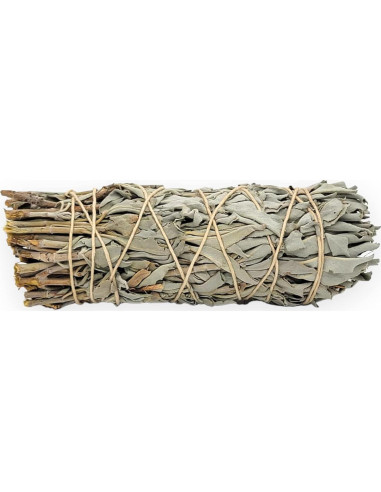 Yerbero - Kit de 3 Palos de Salvia Blanca 12.7 cm - Limpieza