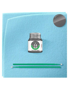 Pintura de Retoque ERA C3E Gris Bernina 7.39ml para BMW