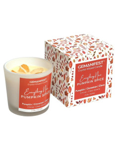 Vela de Soya con Especias de Calabaza Gemanifest 190g