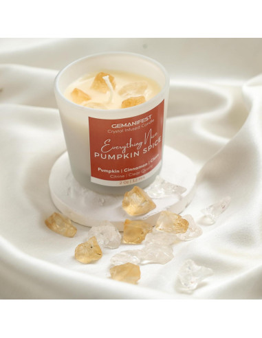 Vela de Soya con Especias de Calabaza Gemanifest 190g