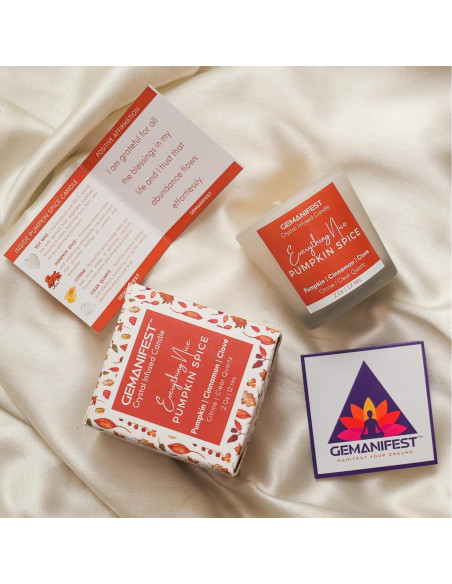 Vela de Soya con Especias de Calabaza Gemanifest 190g