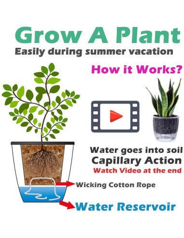 Paquete de 6 macetas autorriego DEELF OUTLET 17 cm blancas