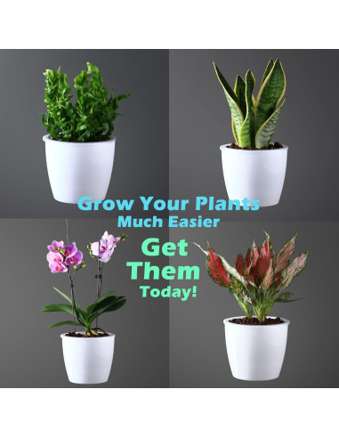 Paquete de 6 macetas autorriego DEELF OUTLET 17 cm blancas