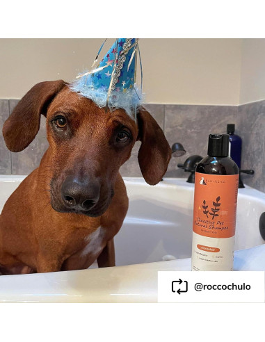 Champú Natural de Avena kin+kind para Perros y Gatos 354ml