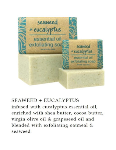 Jabón Exfoliante de Algas Marinas y Eucalipto Greenwich Bay - 2 Unidades 244g