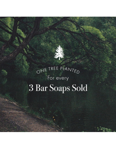 Jabón en Barra LAFCO Nueva York Retiro 198 g Ultra Hidratante