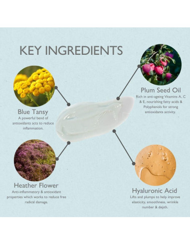 Crema Hidratante Diurna Rhug Belleza Silvestre 60ml