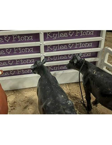 Juguete de Vaca Angus Little Buster 15.24 cm 1/16