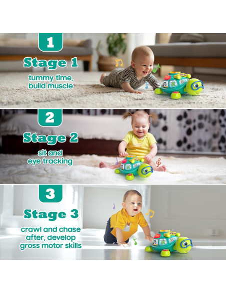Tortuga Musical JXT para Bebés 6-12 Meses - Juguete Educativo
