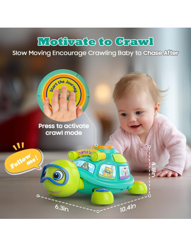 Tortuga Musical JXT para Bebés 6-12 Meses - Juguete Educativo