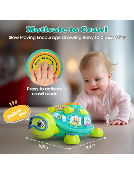 Tortuga Musical JXT para Bebés 6-12 Meses - Juguete Educativo