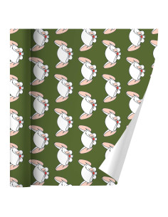 Papel de Regalo Pinky y el Cerebro 76cm x 183cm Graphics & More