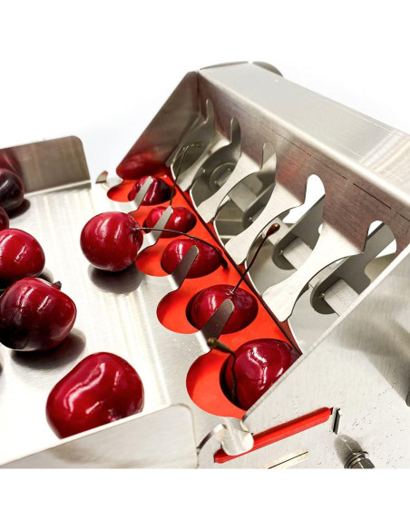 Deshuesador de cerezas Fiesta de cosecha acero inoxidable 5 en 1