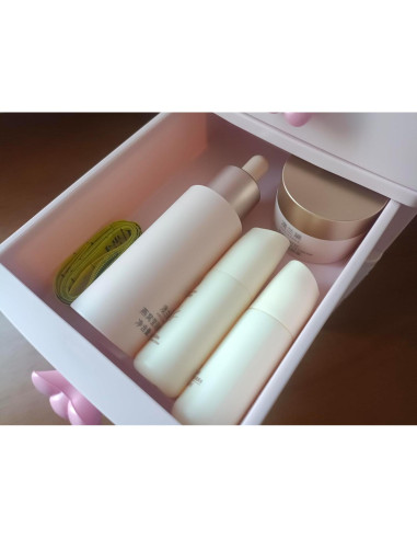 Organizador de Escritorio WQURC Rosa 4 Cajones Plástico