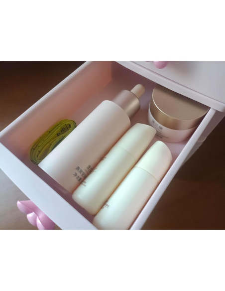 Organizador de Escritorio WQURC Rosa 4 Cajones Plástico