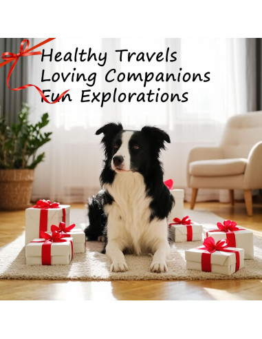 Soporte Elevado Plegable para Cuencos de Perros Petvillage - 5 Tazas