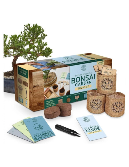 Kit de Bonsai Mediano Garden Republic - Cultiva 3 Mini Bonsais