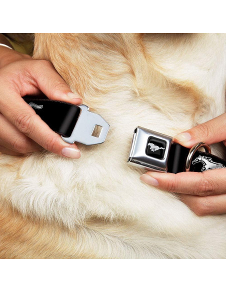 Collar para Perro Buckle-Down Ford Mustang Mediano 2.54 cm