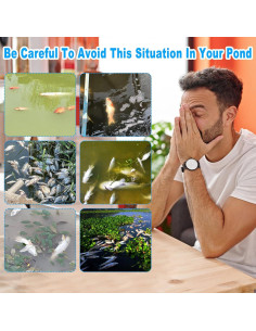 Termómetro de Agua de Lago WiFi Briidea MK-121 1500W con APP 2