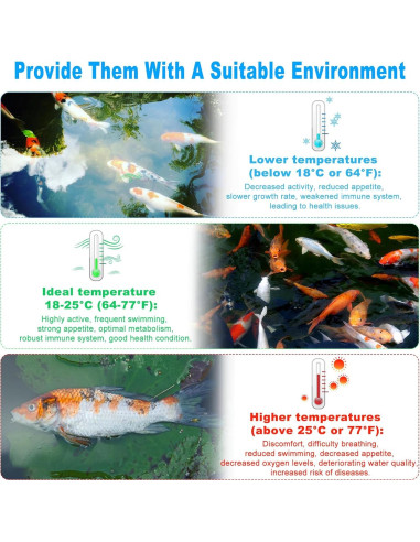 Termómetro de Agua de Lago WiFi Briidea MK-121 1500W con APP