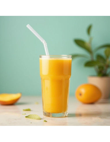 Cepillo Limpiador de Popotes CIDYAUST 26.5cm 2 Piezas Nylon