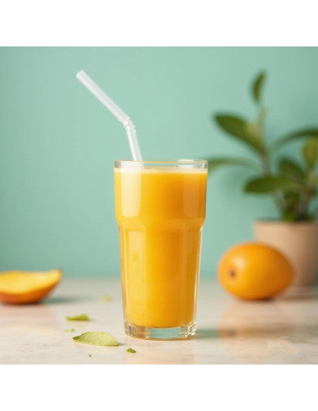 Cepillo Limpiador de Popotes CIDYAUST 26.5cm 2 Piezas Nylon