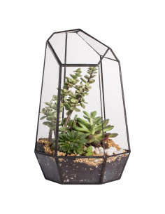 Terrario Geométrico de Vidrio NCYP para Suculentas 16.5x14.5x25cm