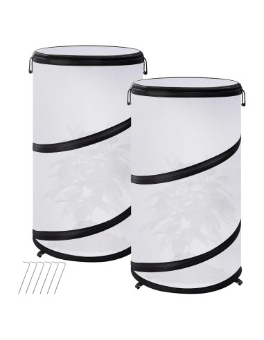 Cubierta de Planta Invierno 2 Pcs Pop Up 50.8x30.5cm PURPLE STAR