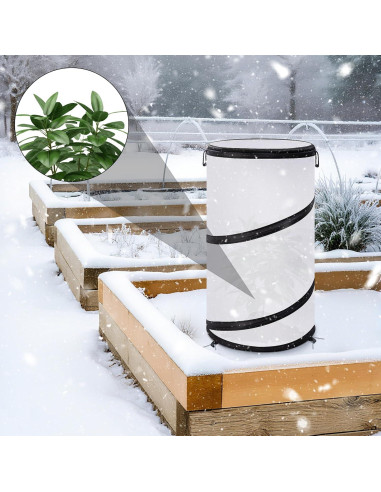 Cubierta de Planta Invierno 2 Pcs Pop Up 50.8x30.5cm PURPLE STAR