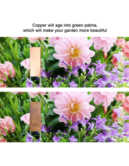 25 Etiquetas de Cobre para Plantas Wanapure 20.32 cm Reutilizables