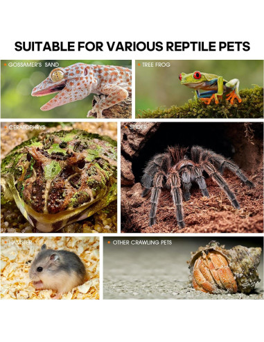 Terrario Acrílico para Reptiles GTSEEMUU 11x12x20 cm