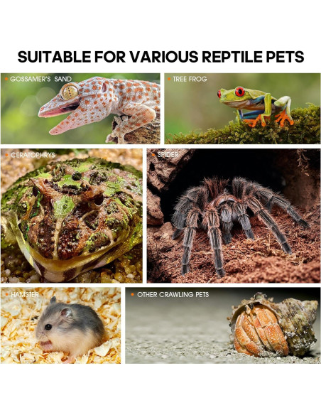 Terrario Acrílico para Reptiles GTSEEMUU 11x12x20 cm