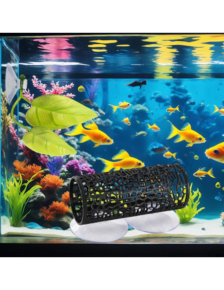 Hamaca para Betta Mzario 3 Piezas con Ventosas y Decoración