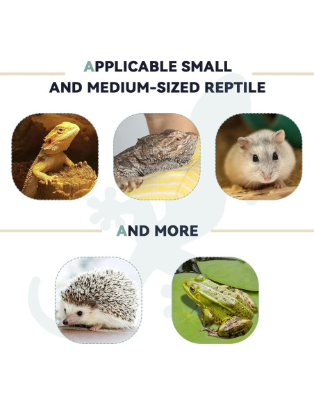 Transportador y Arnés Ajustable para Dragón Barbudo - 39x17cm