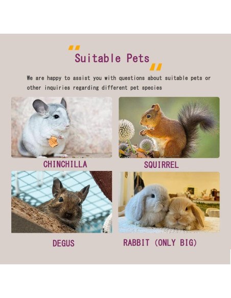 Casa de Chinchilla de Madera Natural 2 Pisos CHIIRAKU 30x19cm